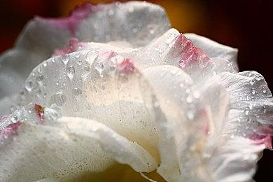 经典赛车王者《极限竞速：地平线4》即将下架 ，限时谢幕折扣